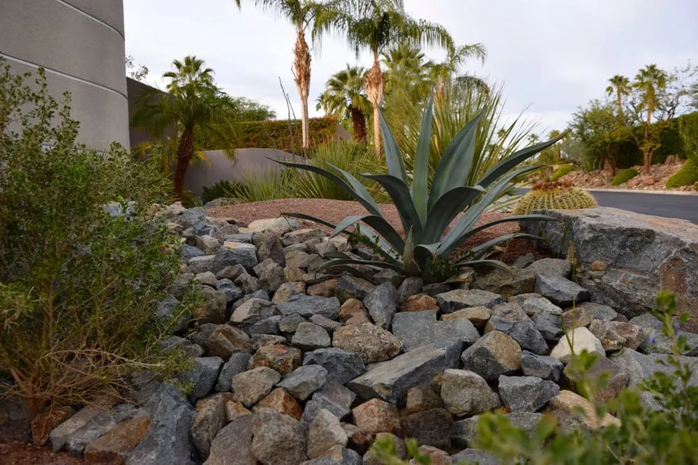 Affordable residential landscaping for year-round maintenance in Rancho Mirage, CA by Cascio Landscape Construction