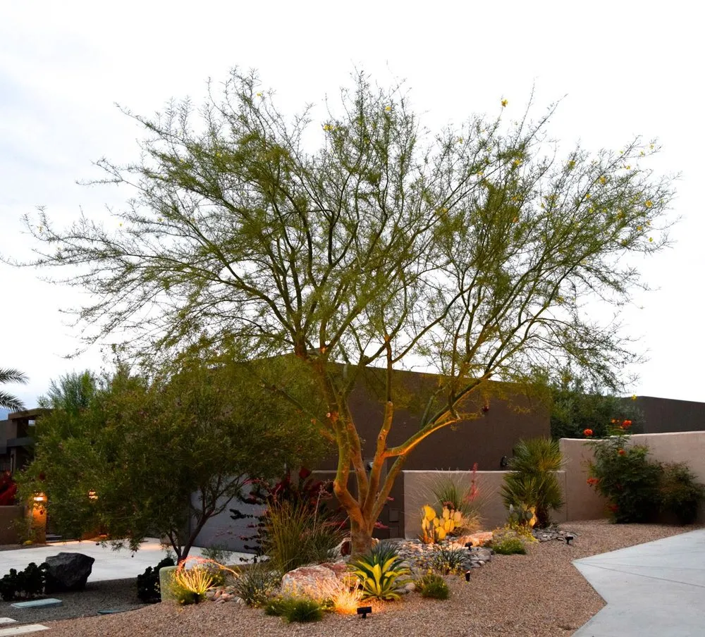 Expert landscape design in Rancho Mirage, CA by Cascio Landscape Construction