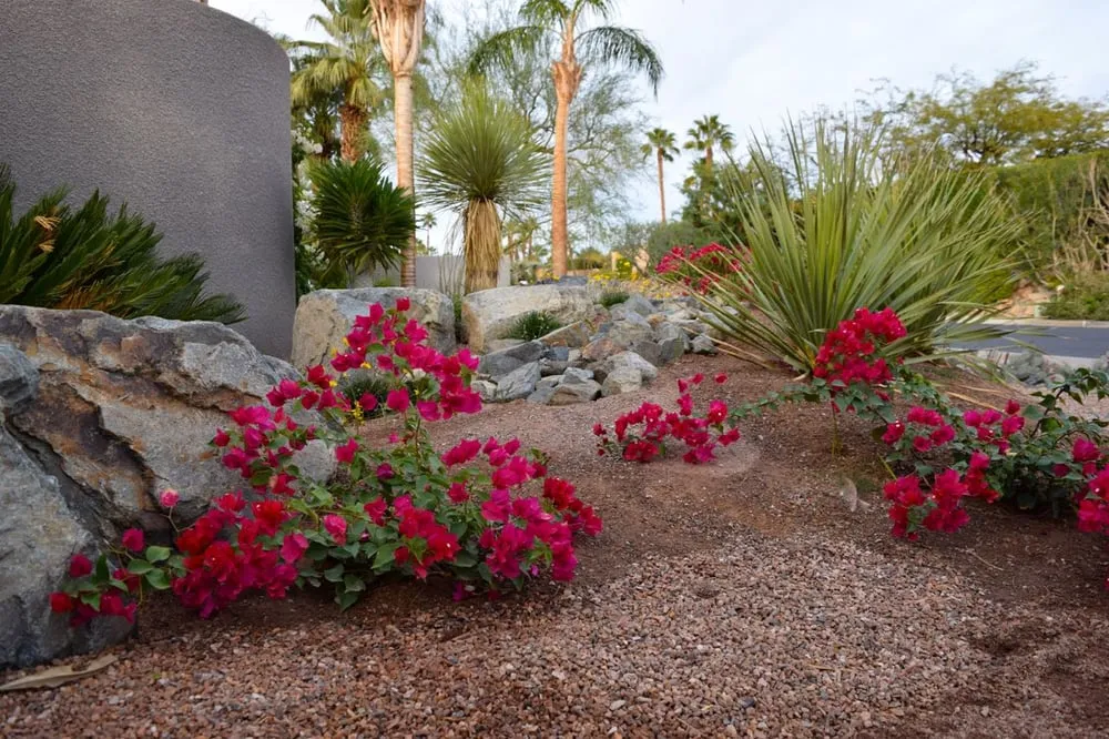 Professional landscape installation in Rancho Mirage, CA by Cascio Landscape Construction