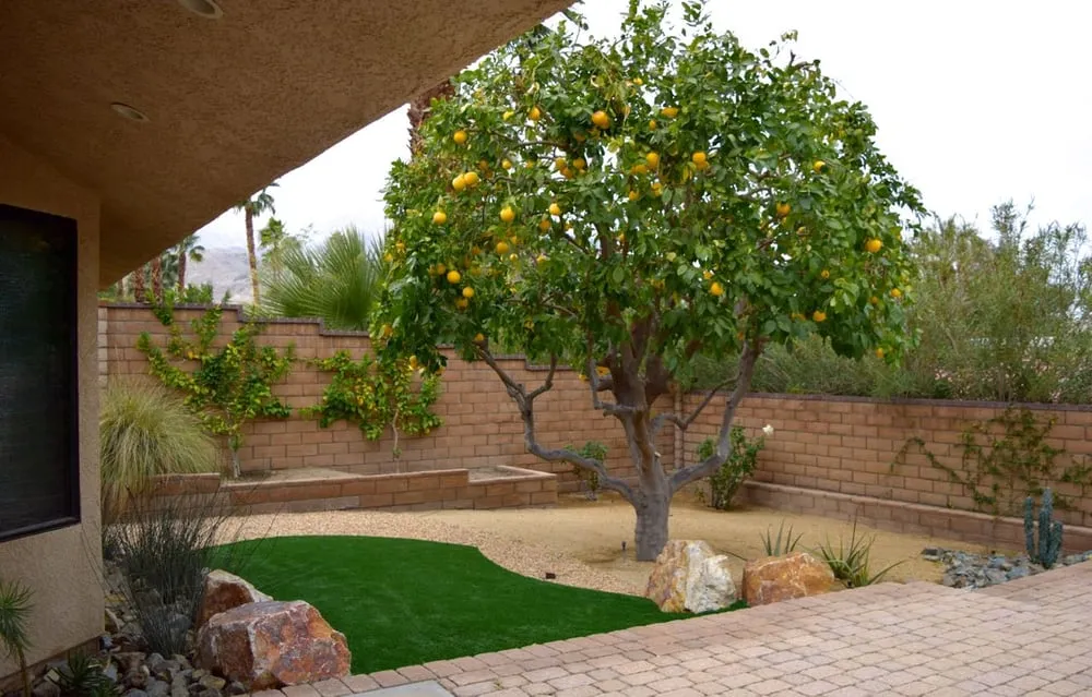 Affordable outdoor landscaping with custom design across Rancho Mirage, CA - Cascio Landscape Construction