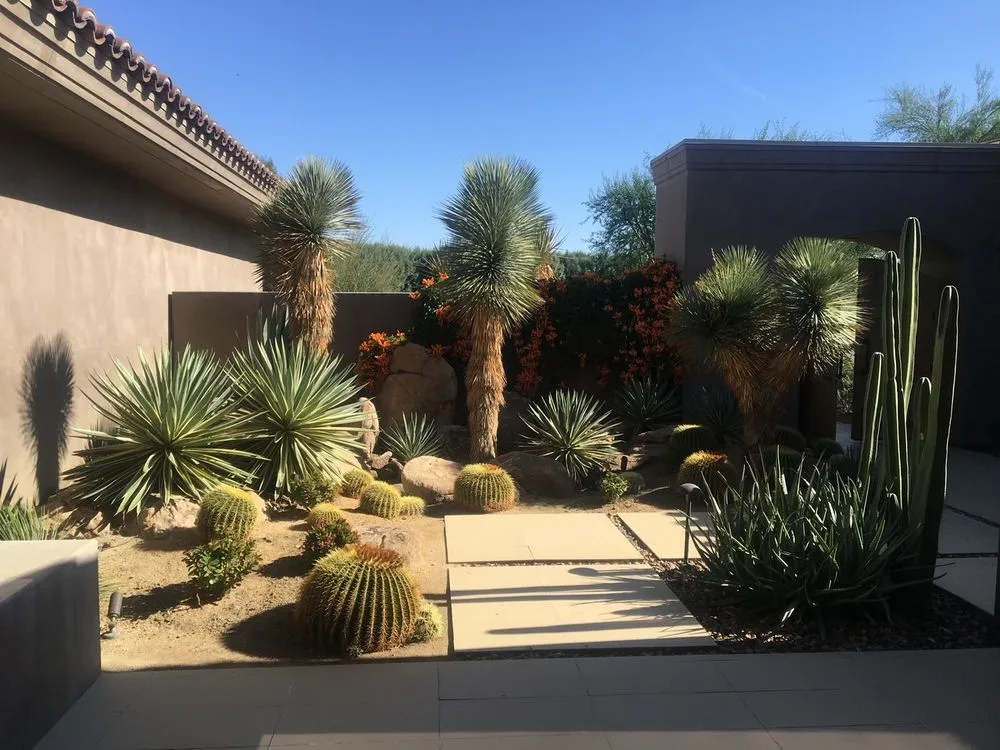 Local landscaping services for beautiful yards across Rancho Mirage, CA - Cascio Landscape Construction