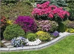 Professional lawn care service for outdoor upgrades across Portland, ME - Casco Bay Lawn Care