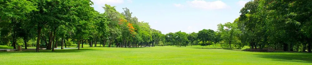 Expert landscaping services in Portland, ME by Casco Bay Lawn Care