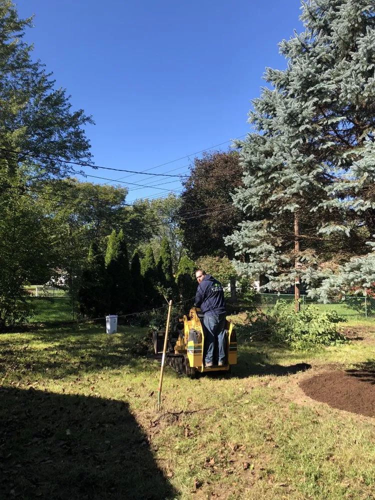 Professional landscaping services for residential properties in Waterford Township, MI by Case landscaping