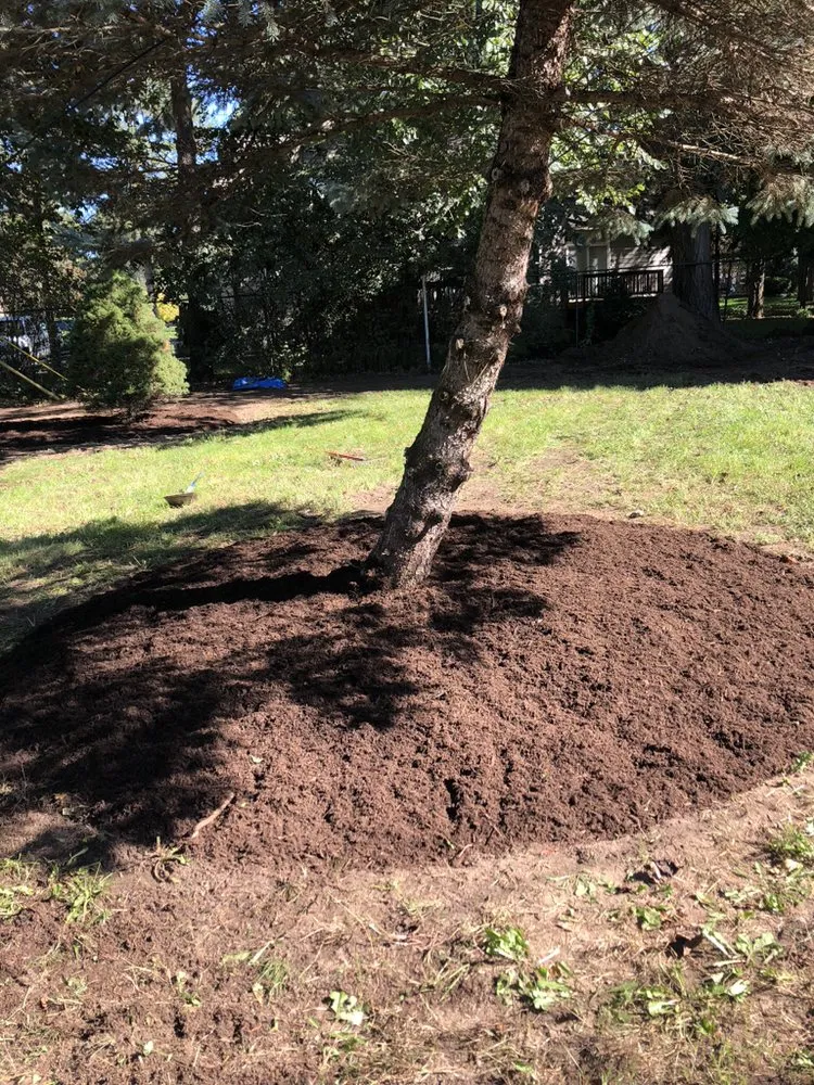 Trusted landscaping services experts serving Waterford Township, MI - Case landscaping