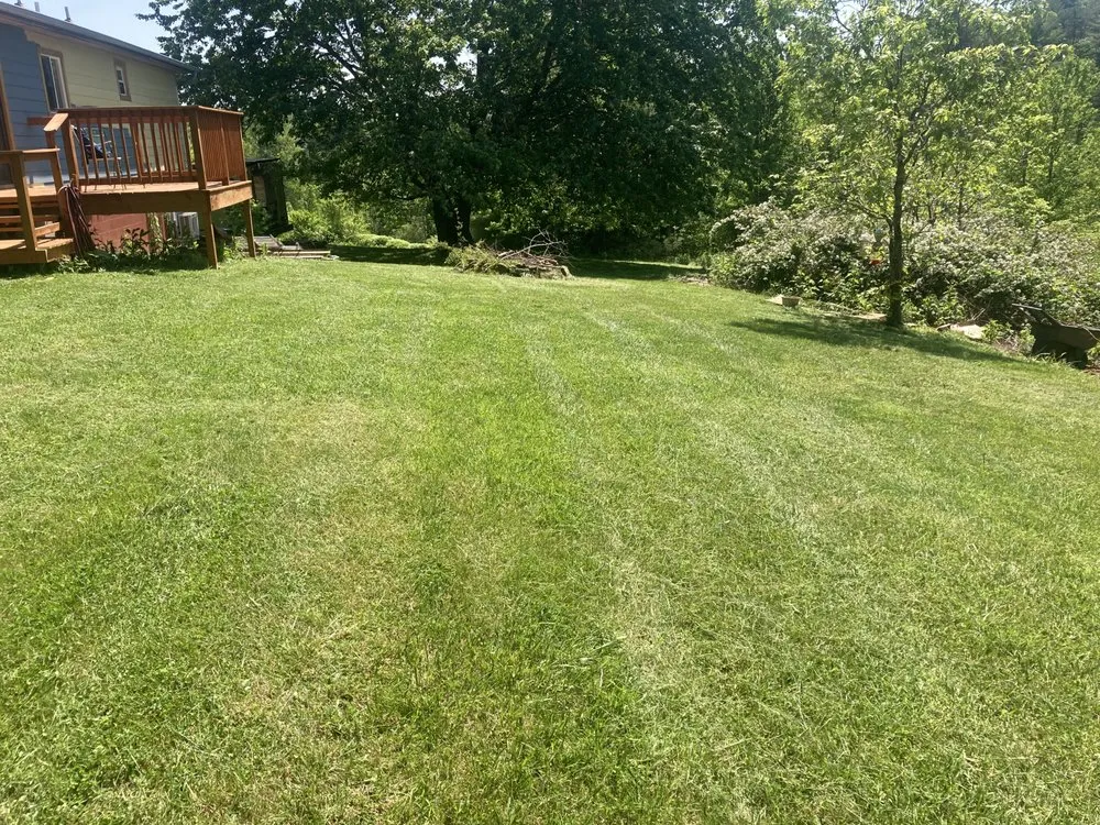 Affordable landscape installation for year-round maintenance in Weaverville, NC by Case Lawn Care