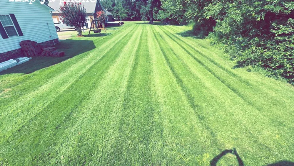 Professional yard cleanup service in La Grange, NC by Case's Lawn Care and Landscaping