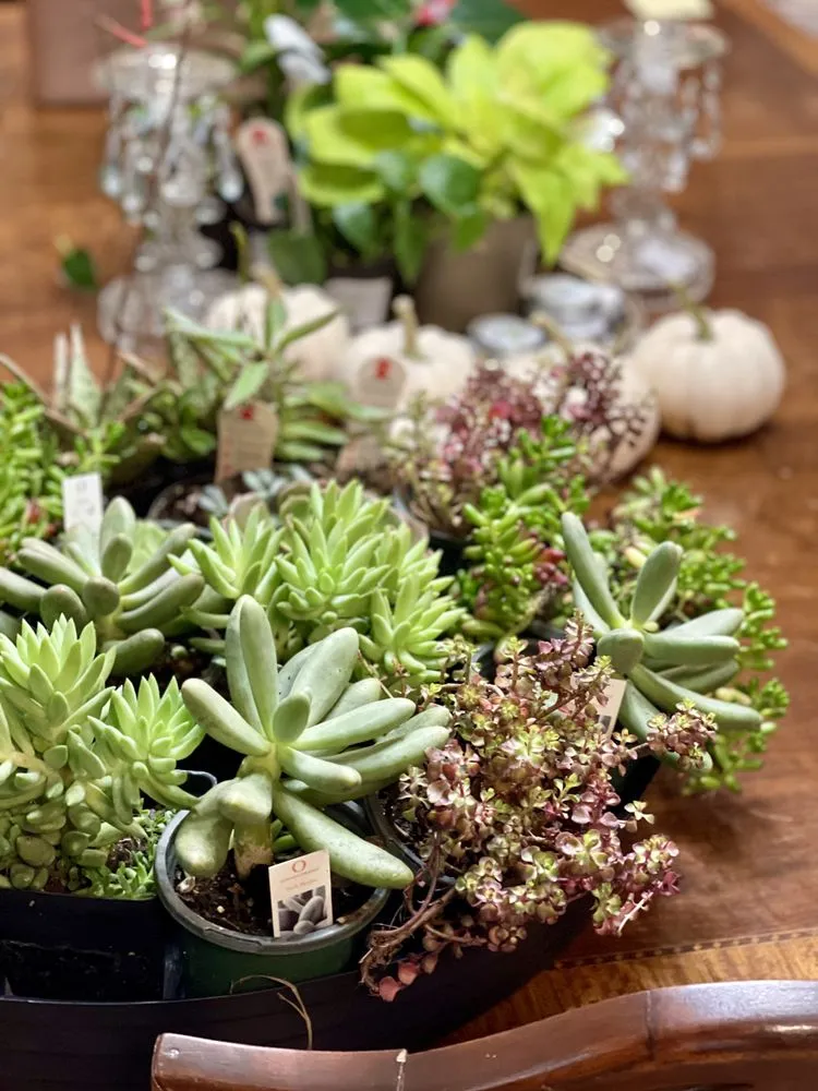 Professional residential landscaping in Washington DC, DC by Casey & Company