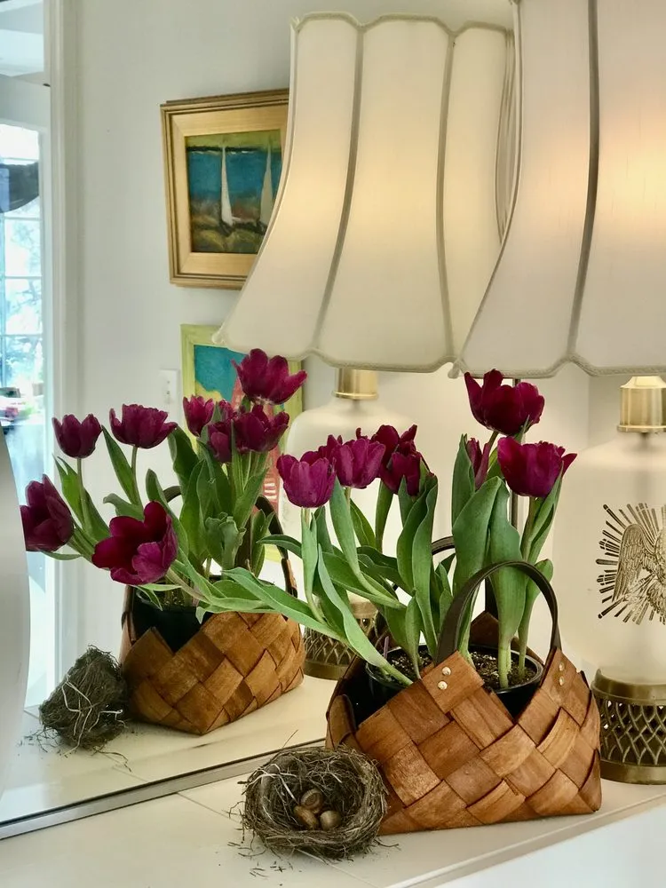 Expert landscaping services for residential properties across Washington DC, DC - Casey & Company