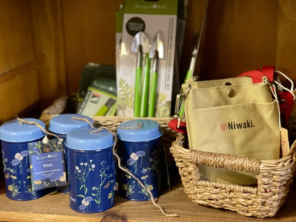 Affordable lawn mowing service near you in Washington DC, DC by Casey & Company