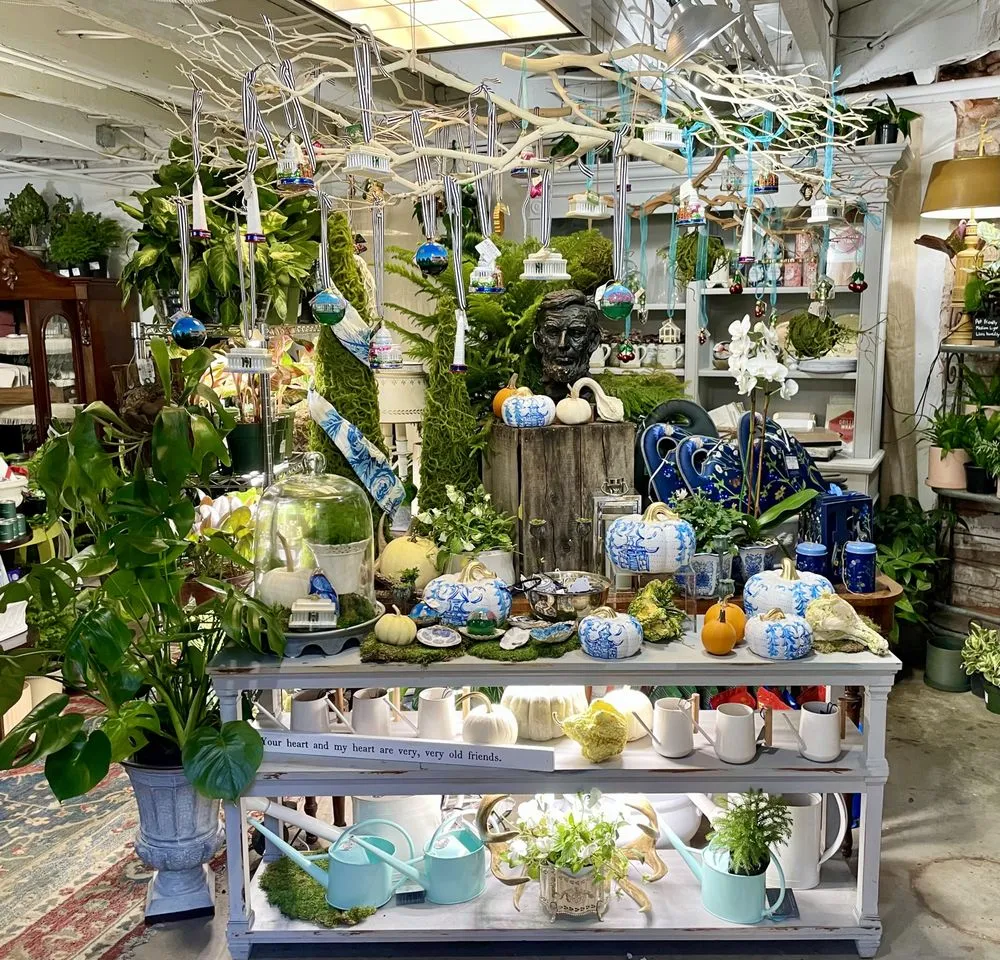 Expert yard cleanup service near you across Washington DC, DC - Casey & Company