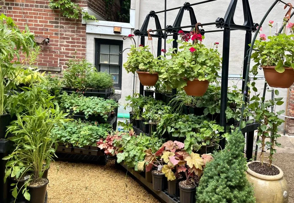 Trusted outdoor landscaping in Washington DC, DC by Casey & Company