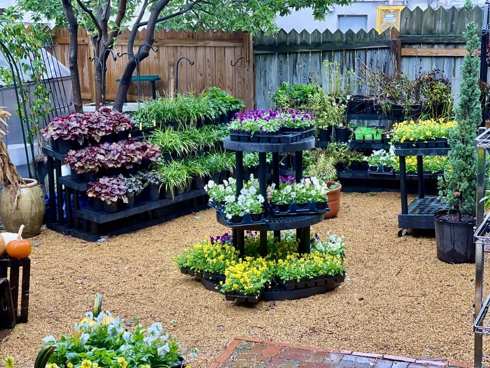 Affordable landscape design in Washington DC, DC by Casey & Company