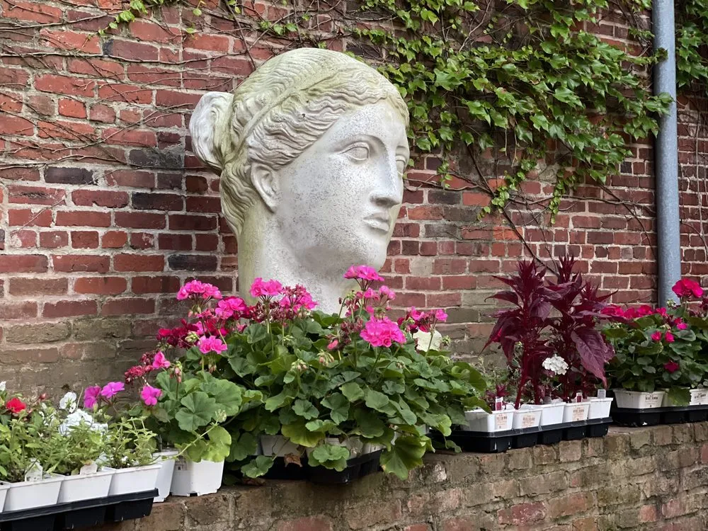 Trusted yard maintenance in Washington DC, DC - Casey & Company