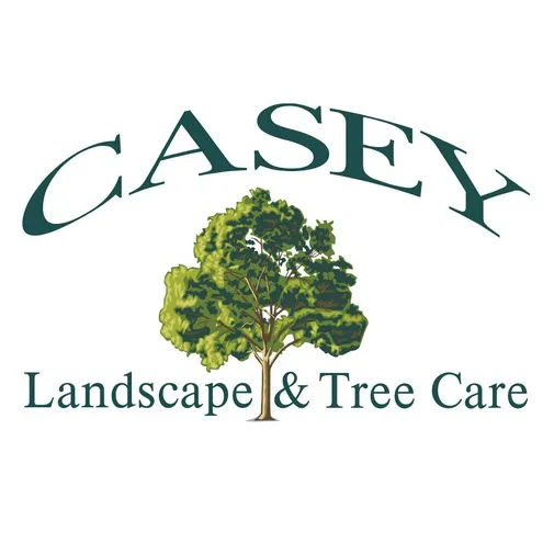 Local yard cleanup service for year-round maintenance across Mashpee, MA - Casey Landscape and Tree Care