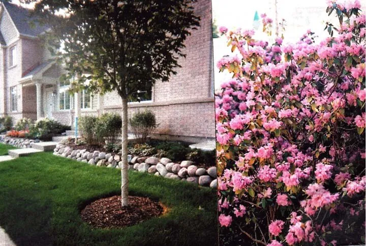 Top-rated garden landscaping in Mundelein, IL - Casey Landscaping