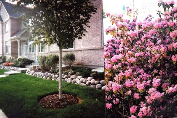 Casey Landscaping Logo