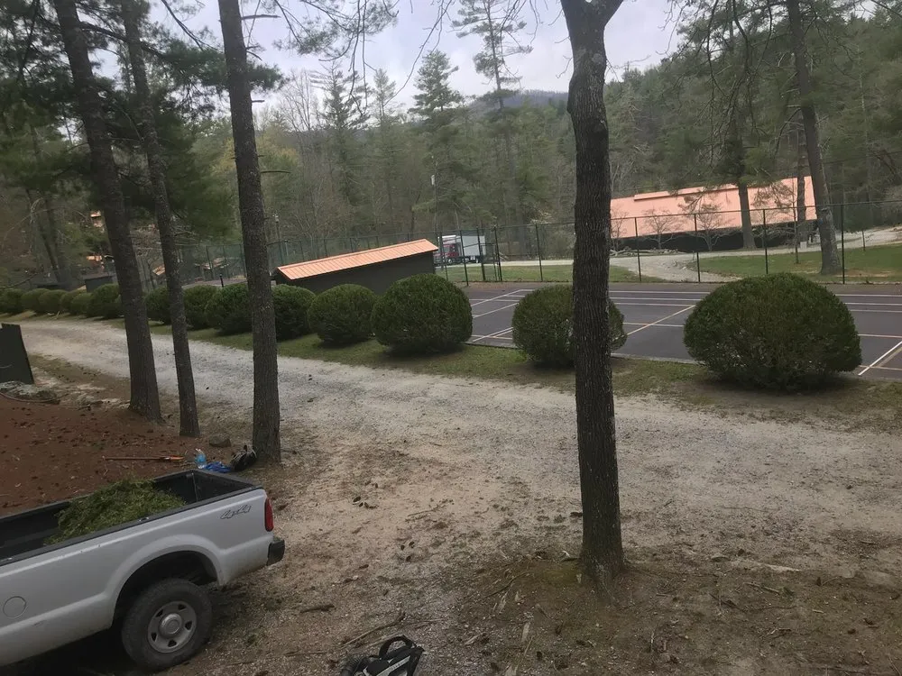 Reliable yard cleanup service in Kelso, TN - Casey T's Lawn Care