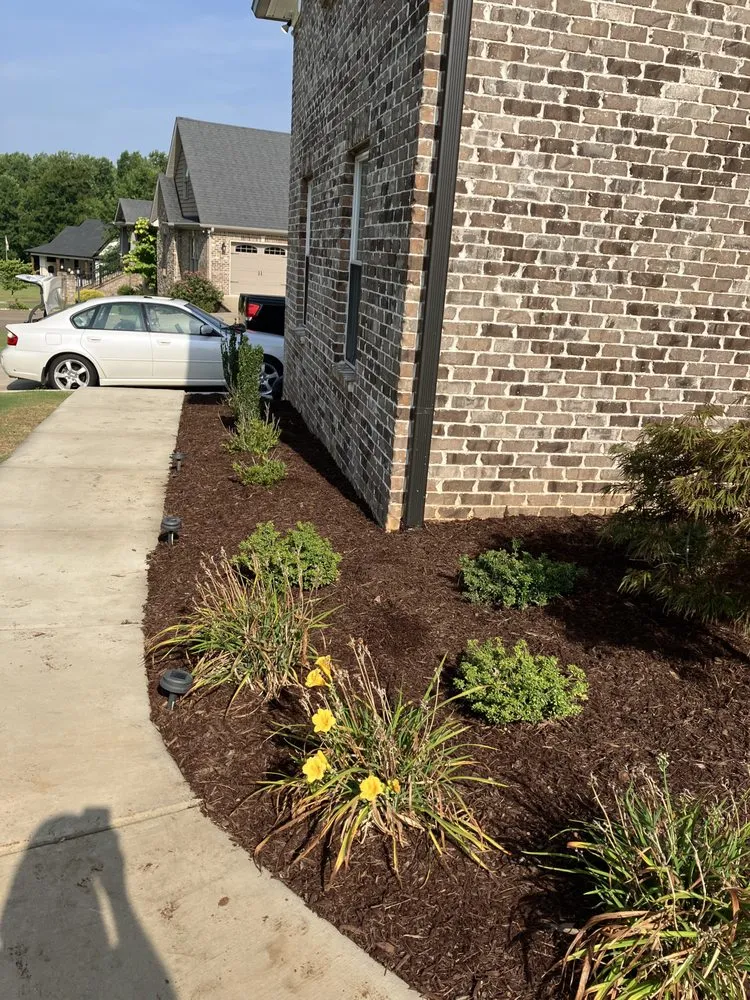 Reliable lawn care service in Kelso, TN by Casey T's Lawn Care