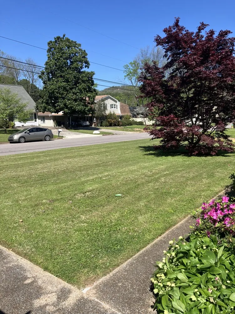 Custom lawn care service for beautiful yards in Kelso, TN by Casey T's Lawn Care