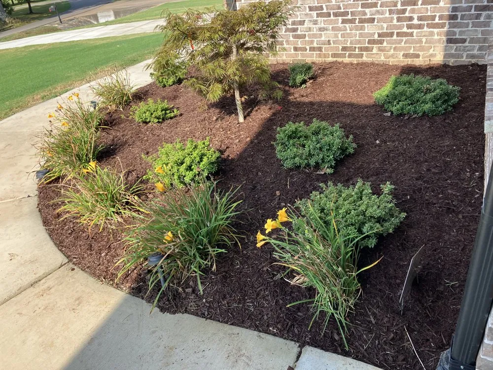 Top-rated yard maintenance in Kelso, TN - Casey T's Lawn Care