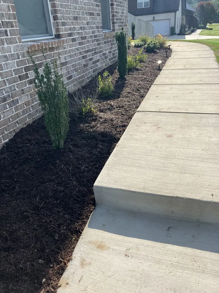 Local yard cleanup service for residential properties across Kelso, TN - Casey T's Lawn Care