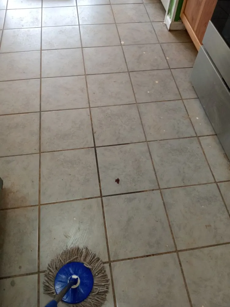 Trusted lawn care service in Marion, NC by Casey's Clean It All