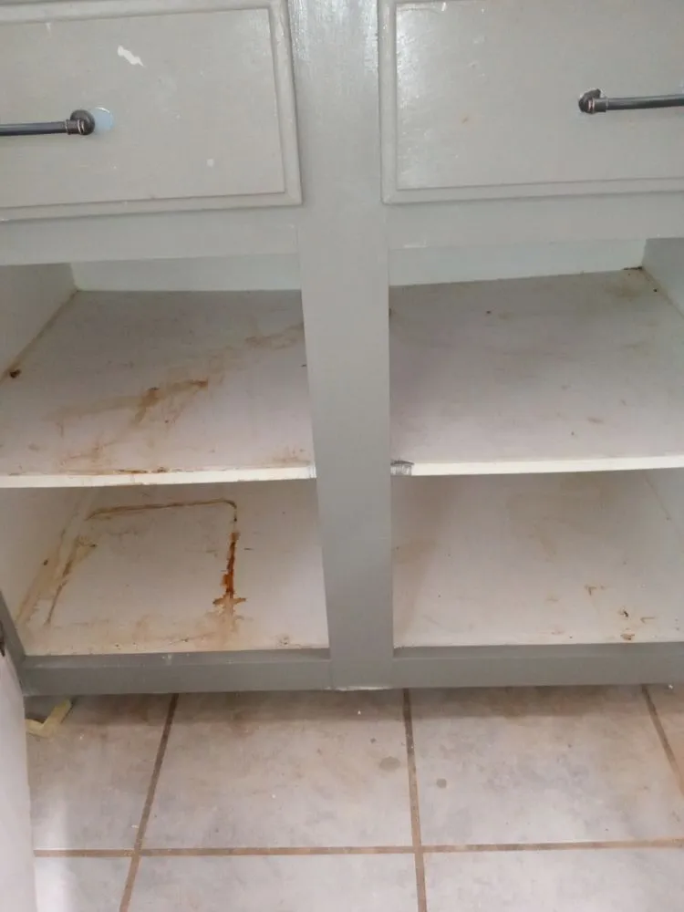 Trusted yard maintenance for year-round maintenance across Marion, NC - Casey's Clean It All