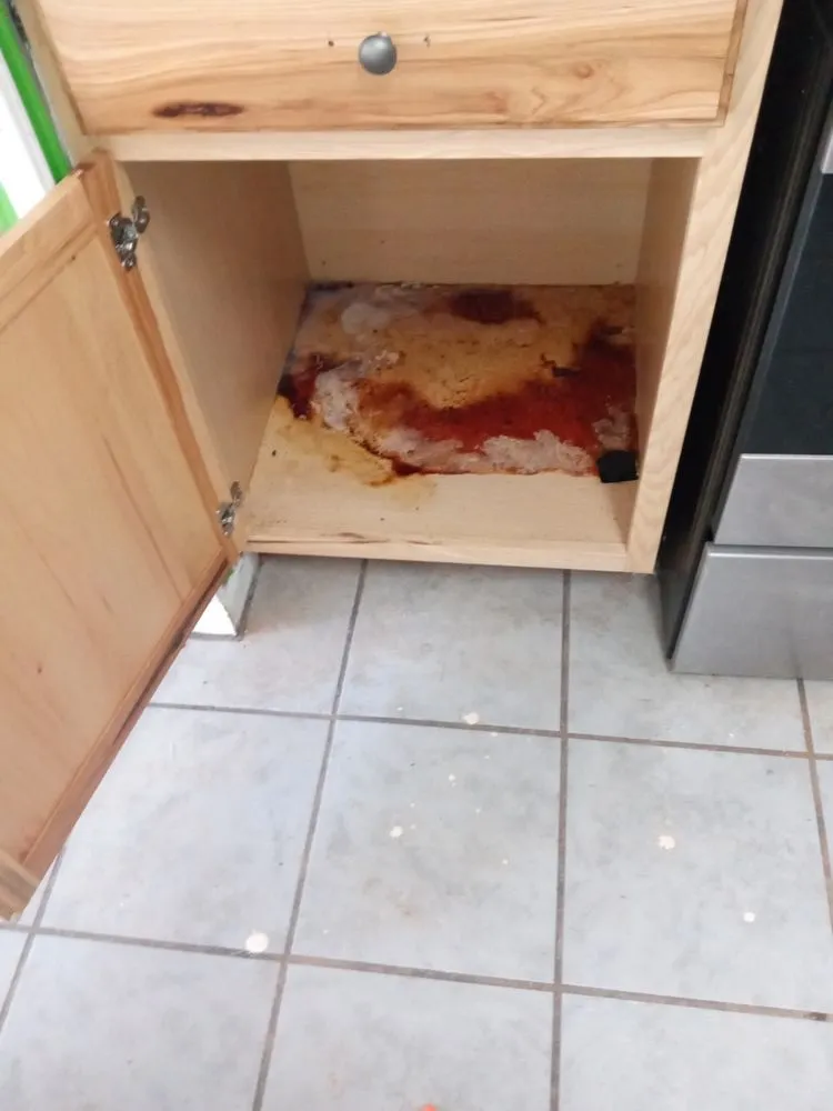 Reliable lawn mowing service with custom design across Marion, NC - Casey's Clean It All