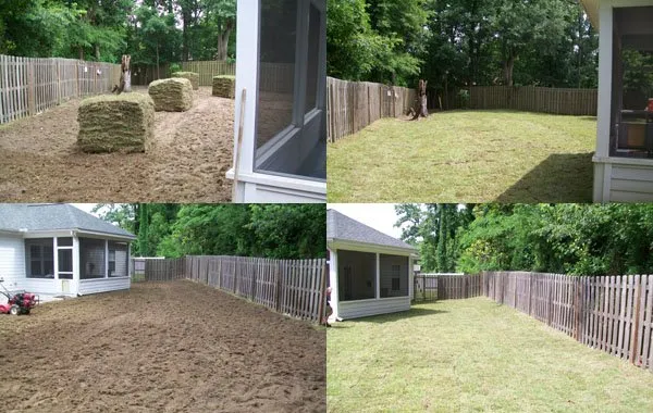 Local landscape design for beautiful yards in Tallahassee, FL by Caseys Landscaping & Lawncare