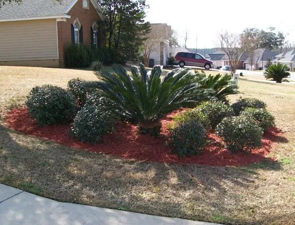 Local lawn care service in Tallahassee, FL - Caseys Landscaping & Lawncare