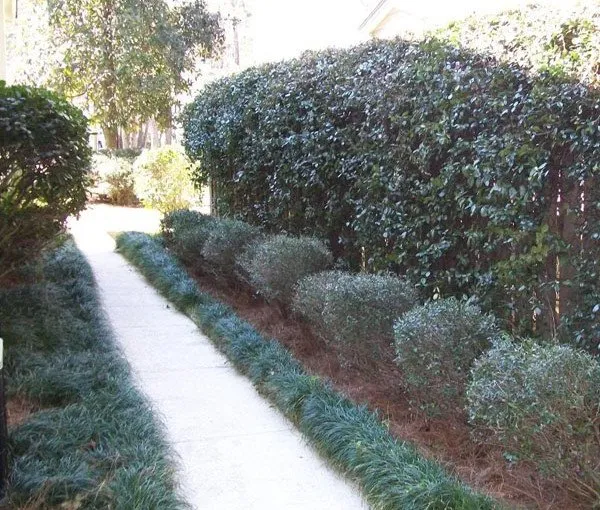 Professional outdoor landscaping for outdoor upgrades in Tallahassee, FL by Caseys Landscaping & Lawncare