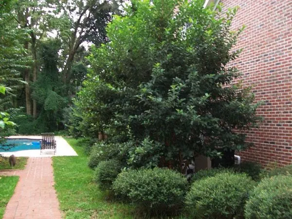 Trusted outdoor landscaping for residential properties across Tallahassee, FL - Caseys Landscaping & Lawncare