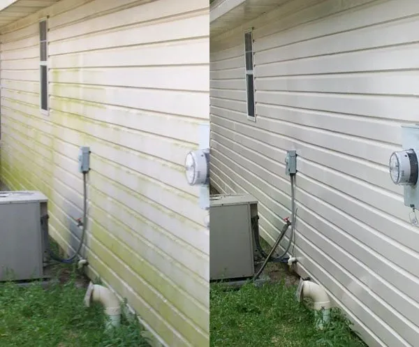 Top-rated landscaping services in Tallahassee, FL by Caseys Landscaping & Lawncare