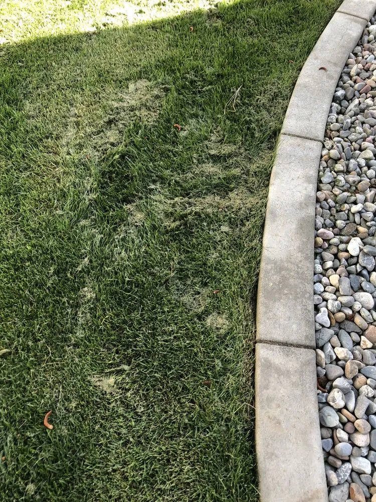 Trusted lawn mowing service in Tallahassee, FL - Caseys Landscaping & Lawncare