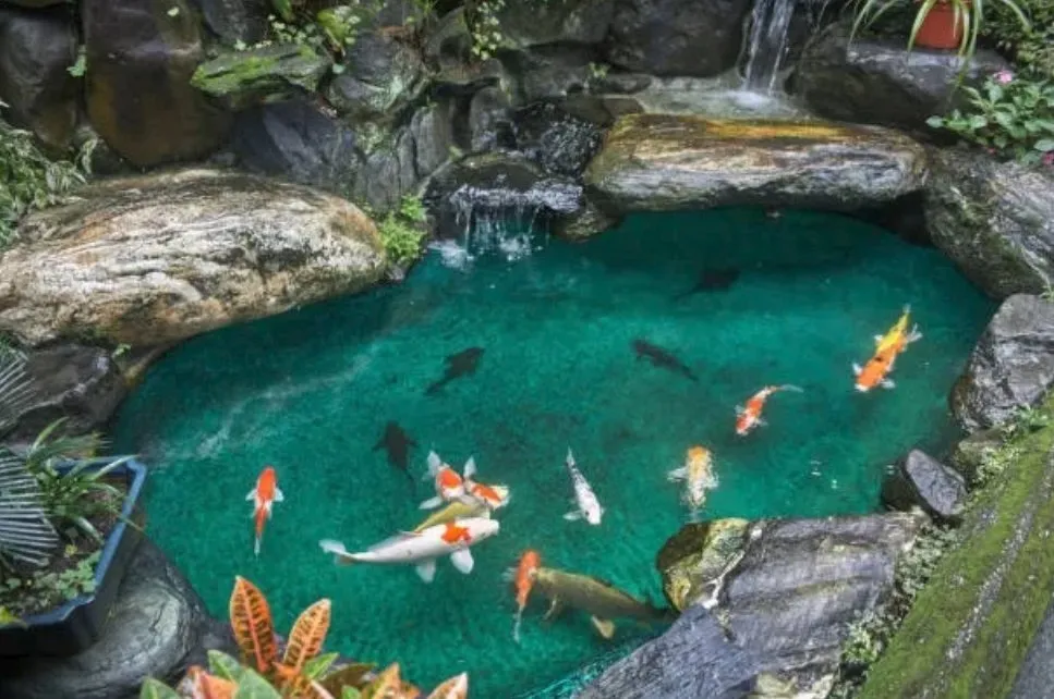 Expert garden landscaping in Red Bud, IL by Caseys Landscaping and Curb Appeal