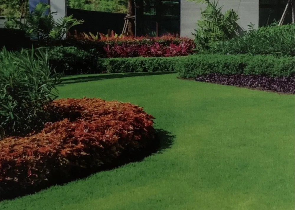 Local yard cleanup service in Port St. Lucie, FL by Casey’s Lawn Care