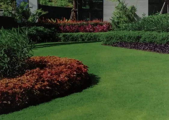 Casey’s Lawn Care Logo