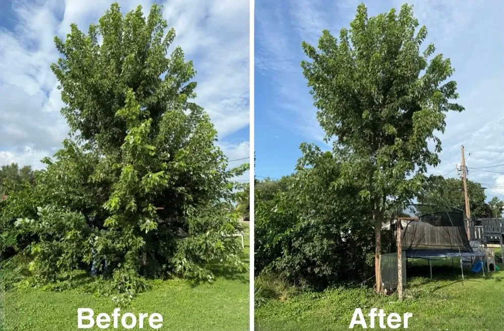 Local yard maintenance for residential properties in Saint Joseph, MO by Casey's Lawn Care