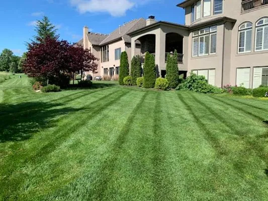 Casey's Lawn Maintenance