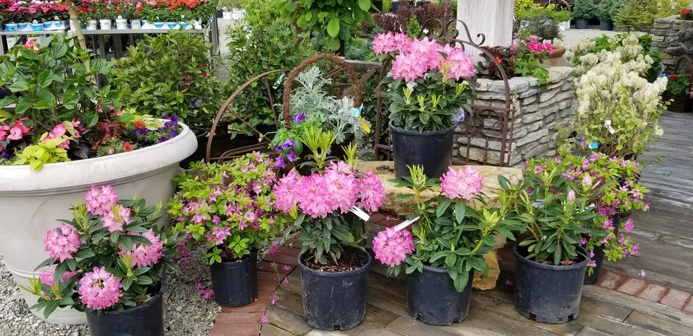 Local landscape design in Lawrenceburg, IN by Casey's Outdoor Solutions Garden & Gifts