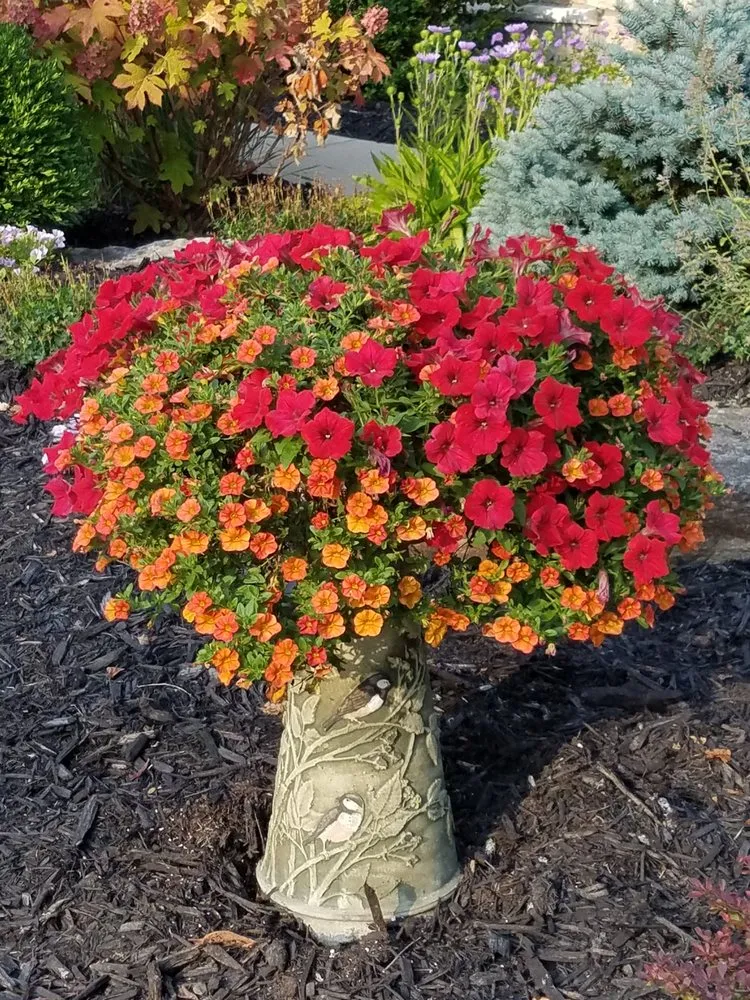 Trusted residential landscaping in Lawrenceburg, IN by Casey's Outdoor Solutions Garden & Gifts