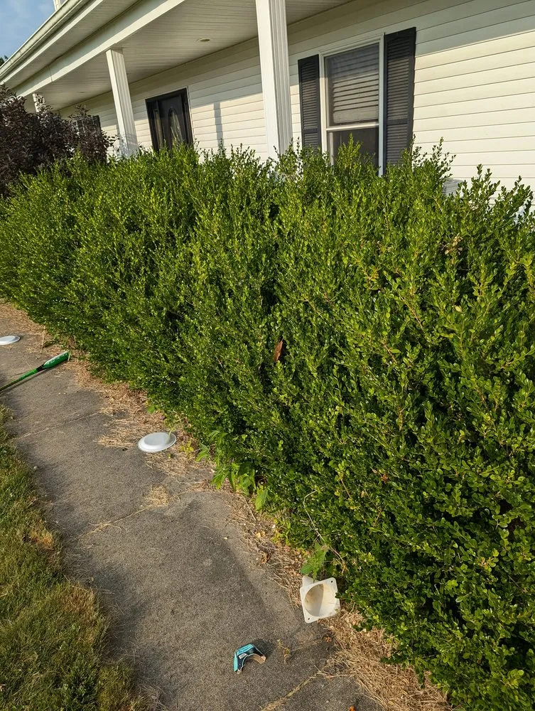 Top-rated outdoor landscaping near you across Versailles, IN - Casey's Property Maintenance