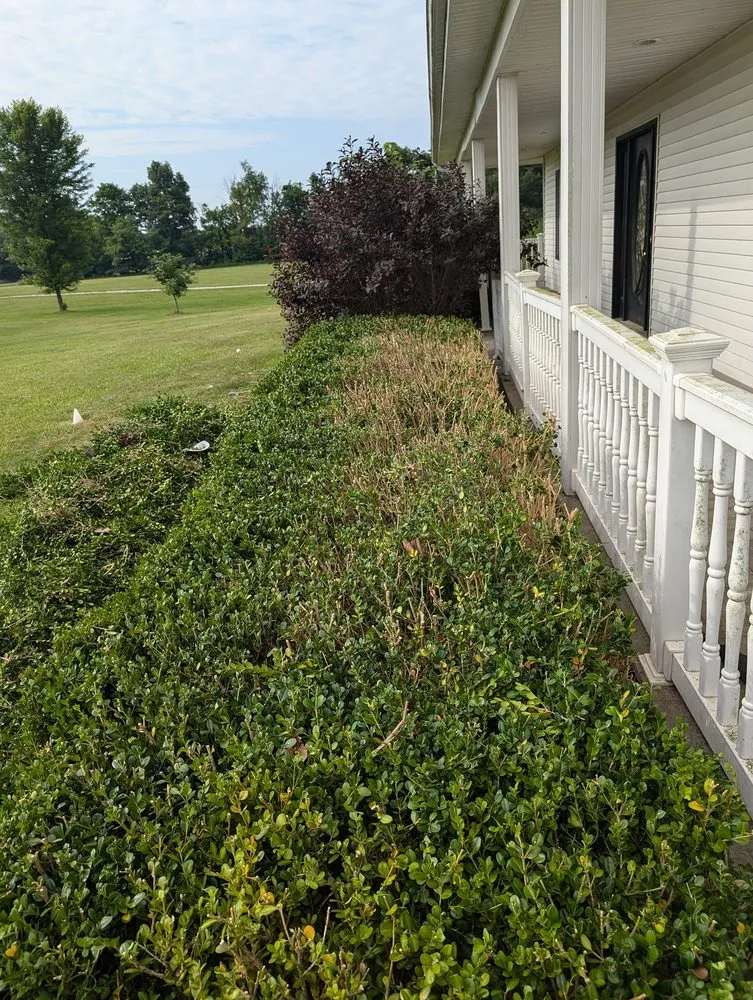 Trusted outdoor landscaping experts serving Versailles, IN - Casey's Property Maintenance