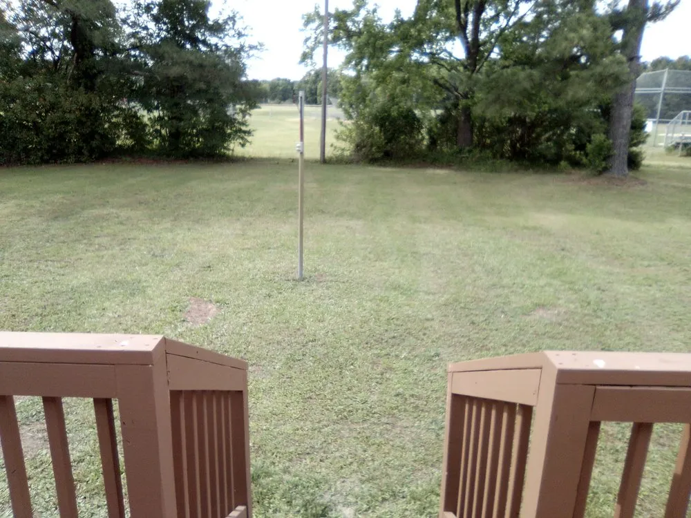 Reliable yard cleanup service in Wilson, NC by Cash Lawn Care