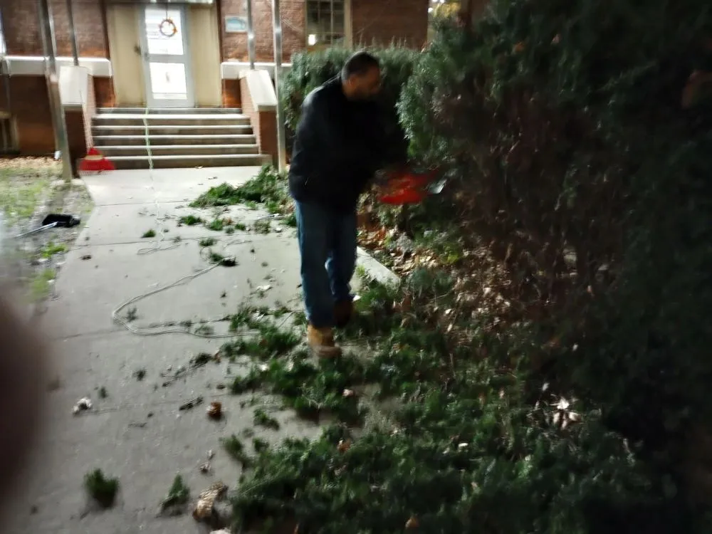 Affordable yard maintenance for beautiful yards across New York, NY - Cash the handyman