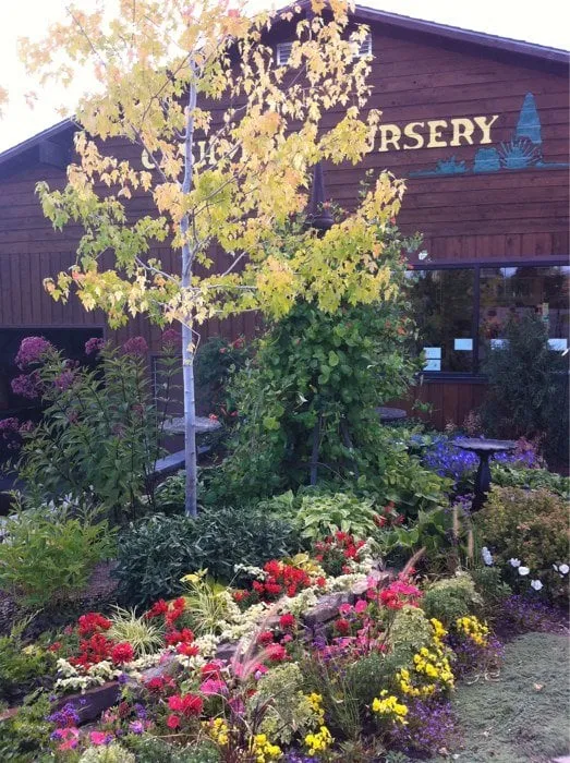 Affordable lawn mowing service with custom design across Bozeman, MT - Cashman Nursery