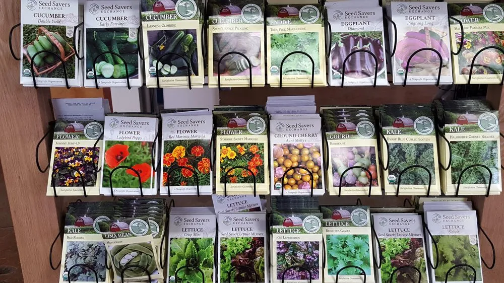 Local outdoor landscaping in Bozeman, MT by Cashman Nursery