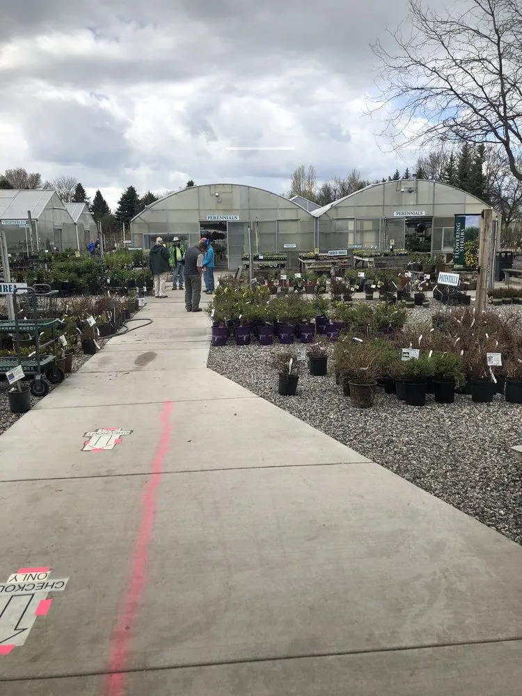 Local landscape installation in Bozeman, MT - Cashman Nursery