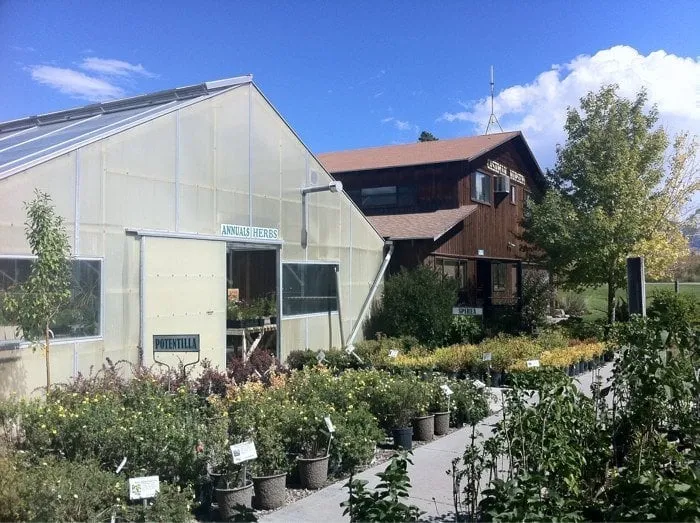 Top-rated landscape design experts serving Bozeman, MT - Cashman Nursery